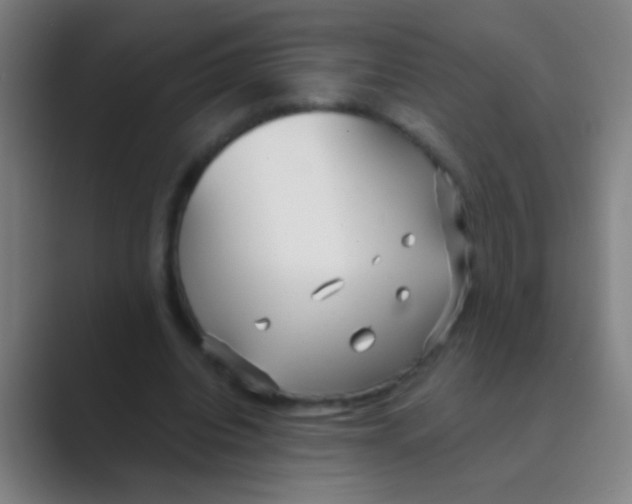 X0000088710440200706282046