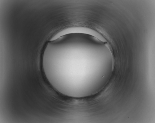 X0000088710442200706282046