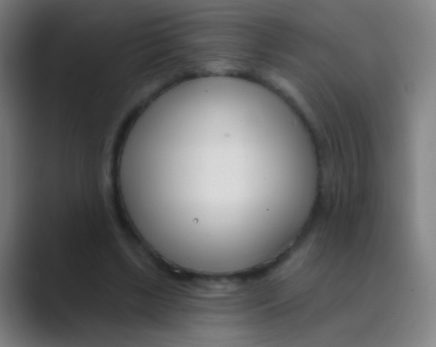 X0000088710443200706282046