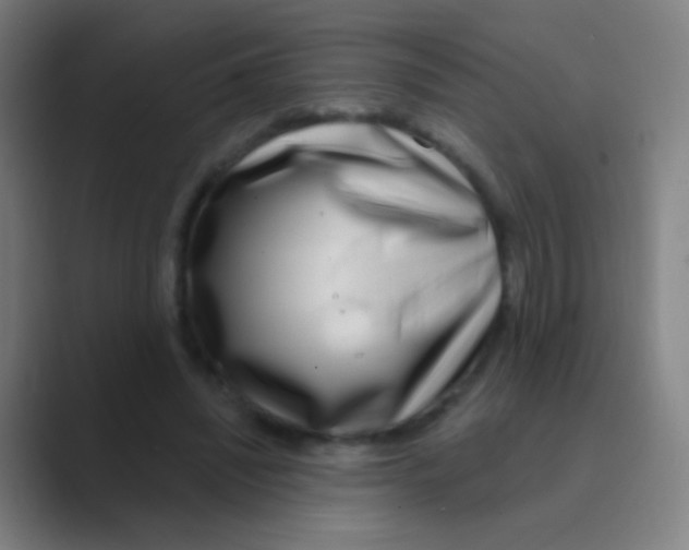 X0000088710444200706282046