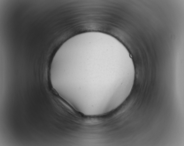 X0000088710445200706282046