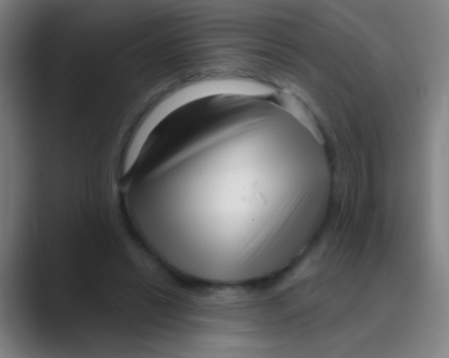 X0000088710446200706282046