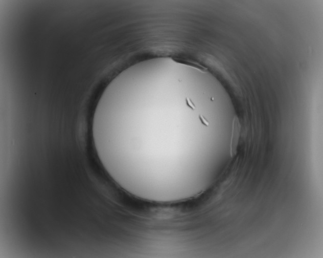 X0000088710448200706282046