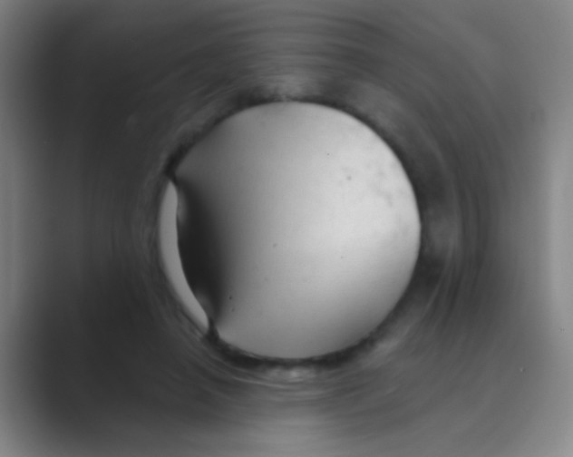 X0000088710450200706282047