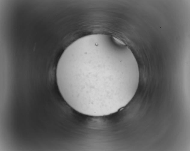 X0000088710475200706282047