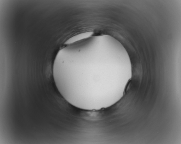 X0000088710478200706282047