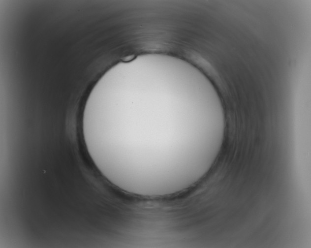 X0000088710482200706282046