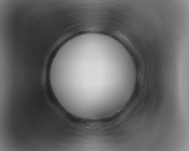 X0000088710484200706282046