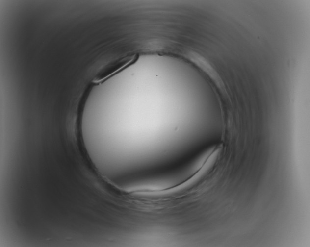 X0000088710485200706282046