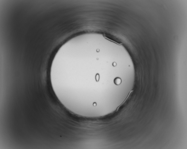 X0000088710488200706282046