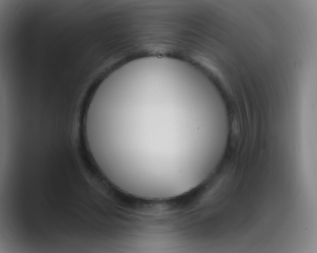 X0000088710492200706282046