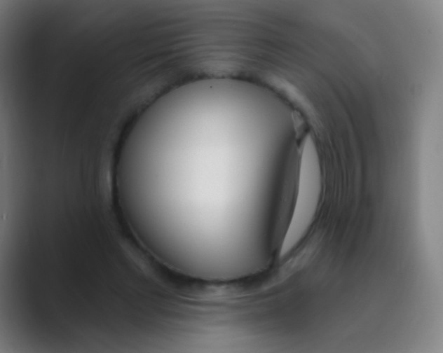 X0000088710493200706282046