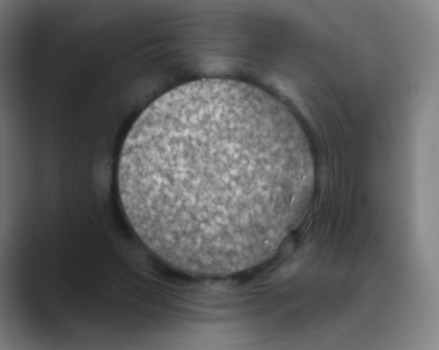 X0000088710495200706282046