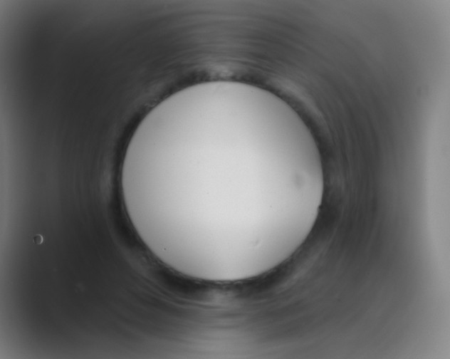 X0000088710496200706282046