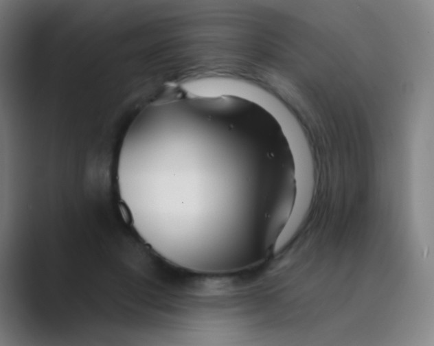 X0000088710501200706282046