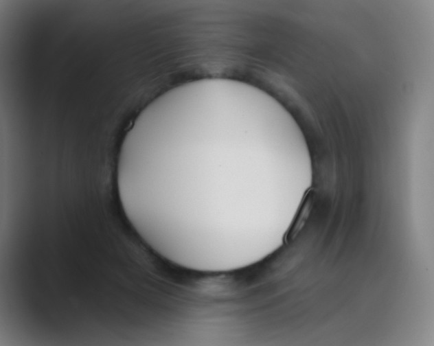 X0000088710505200706282046