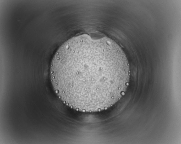 X0000088710507200706282046