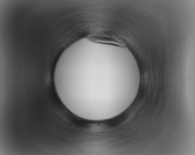 X0000088710508200706282046