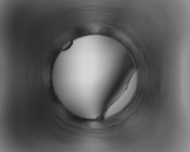 X0000088710509200706282046