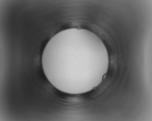 X0000088710514200706282046