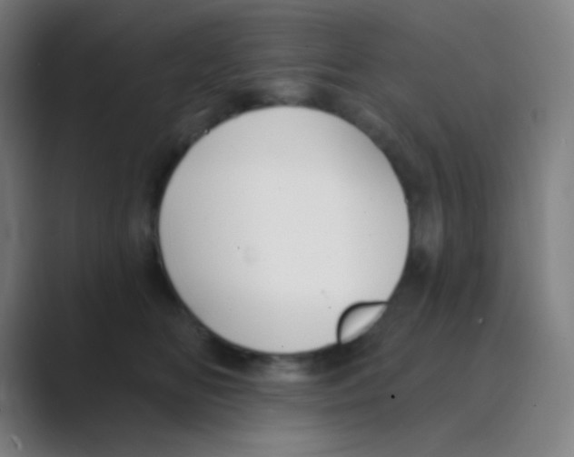 X0000088710518200706282046