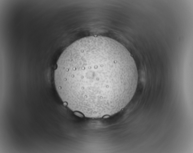 X0000088710519200706282046