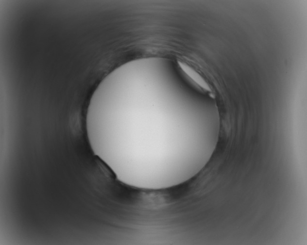 X0000088710520200706282046