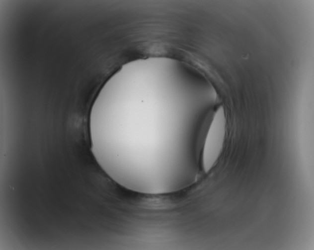 X0000088710521200706282046