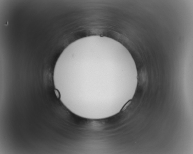 X0000088710522200706282046