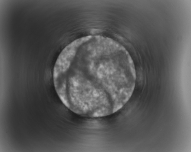 X0000088710523200706282046