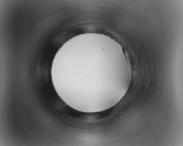 X0000088710525200706282046