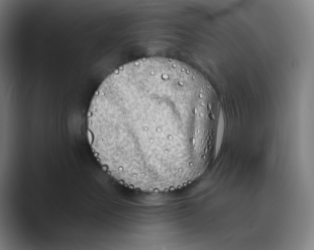 X0000088710527200706282046