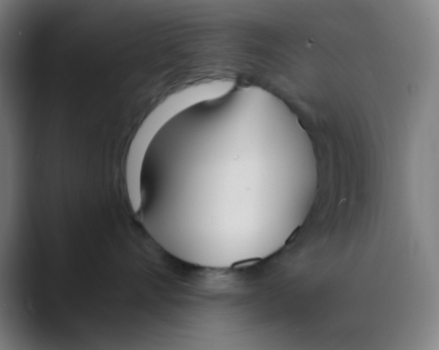 X0000088710528200706282046