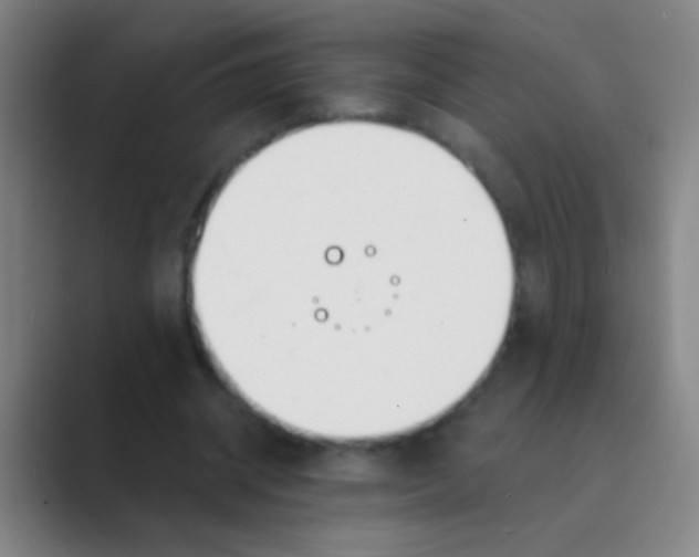 X0000088710534200706282045