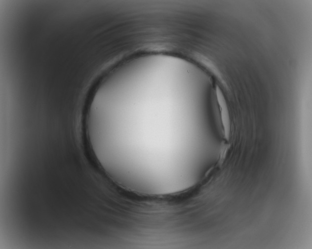 X0000088710535200706282045