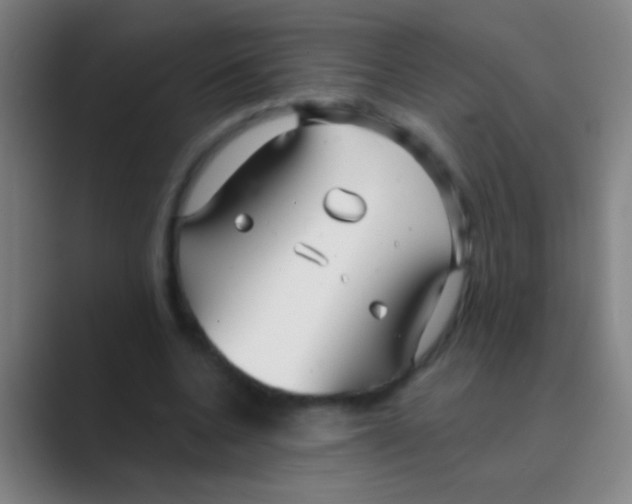 X0000088710536200706282045