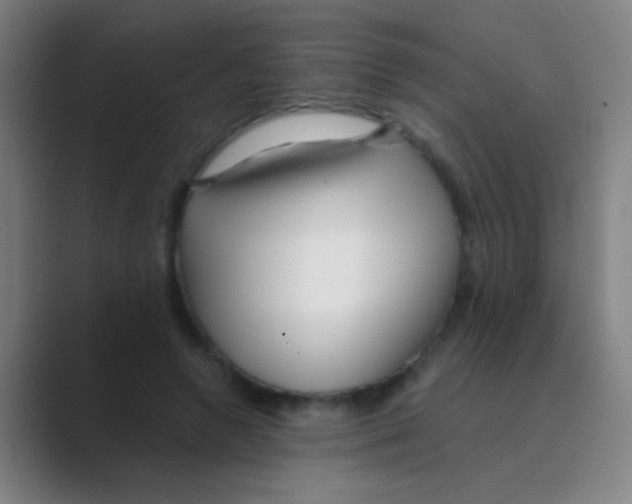 X0000088710546200706282045