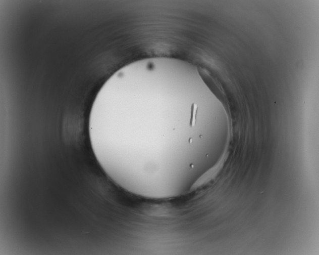 X0000088710548200706282045