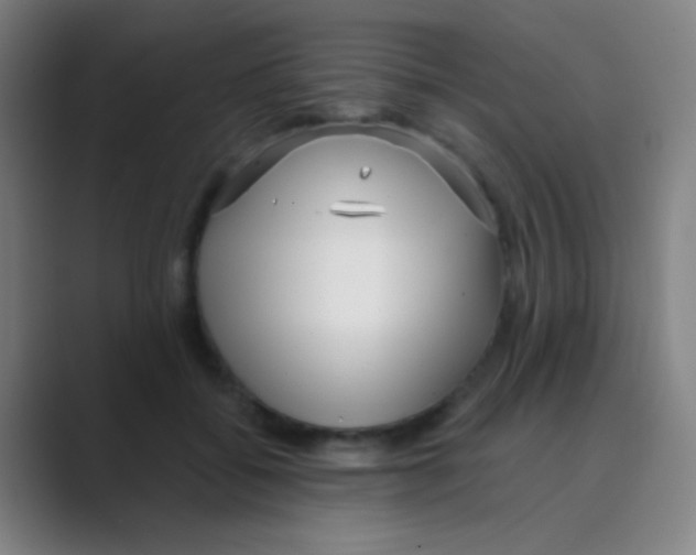 X0000088710556200706282045