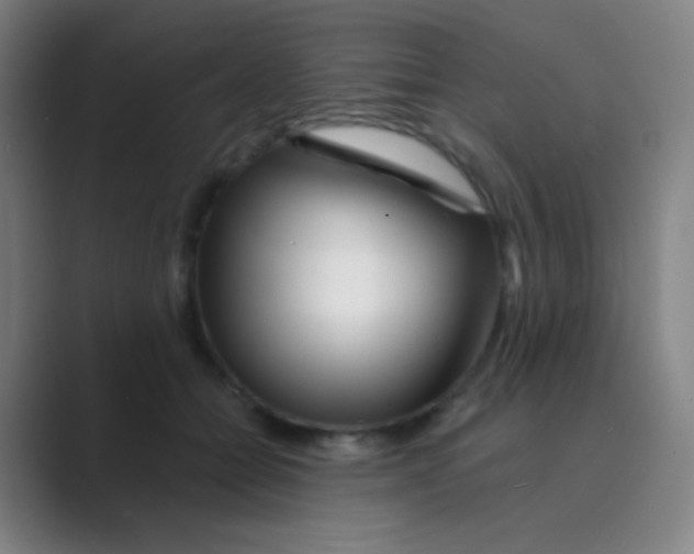 X0000088710558200706282045