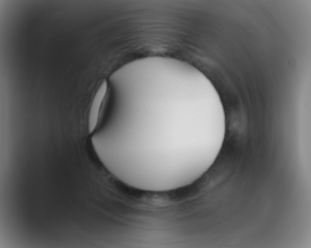 X0000088710559200706282045