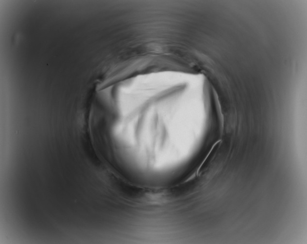 X0000088710560200706282045