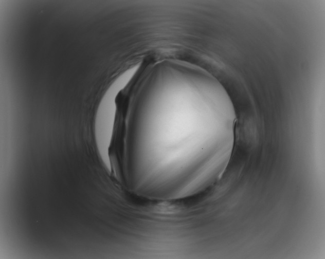 X0000088710562200706282045