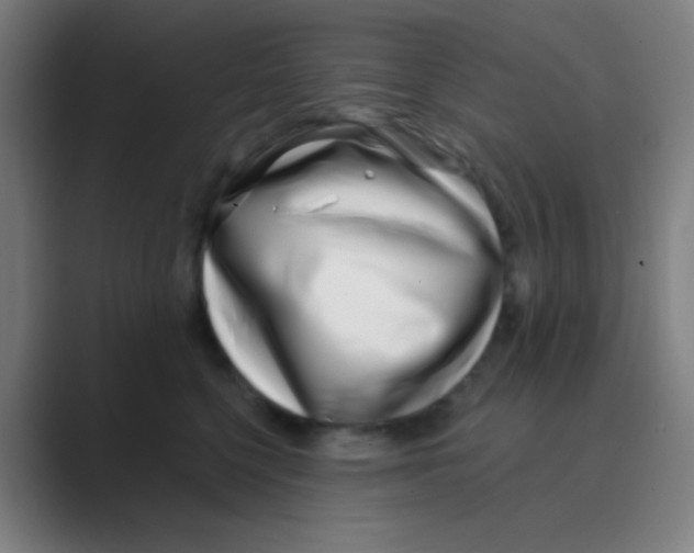 X0000088710568200706282046