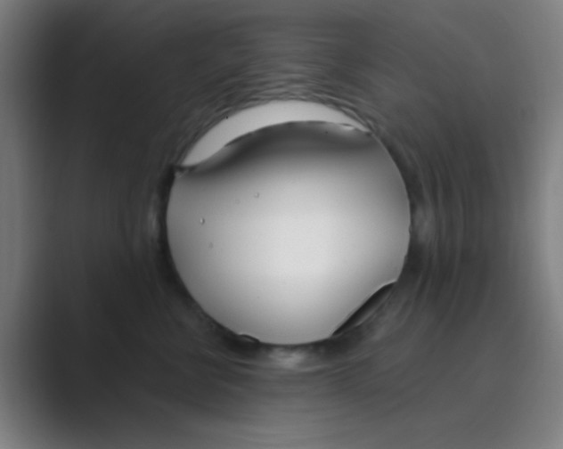 X0000088710570200706282046