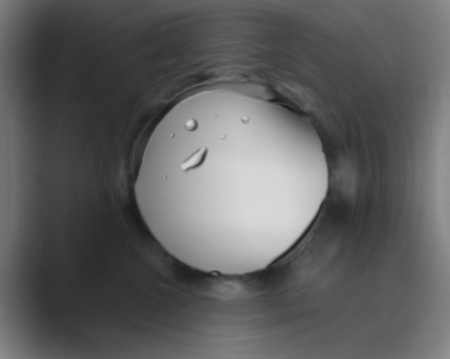 X0000088710572200706282046