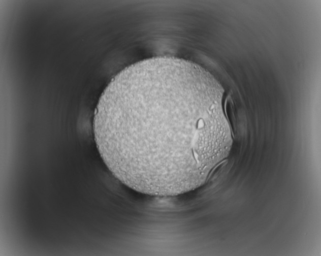 X0000088710573200706282046