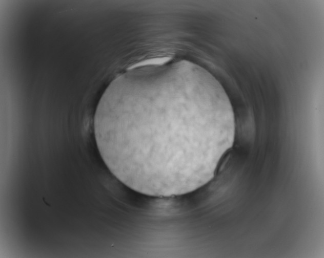 X0000088710574200706282046