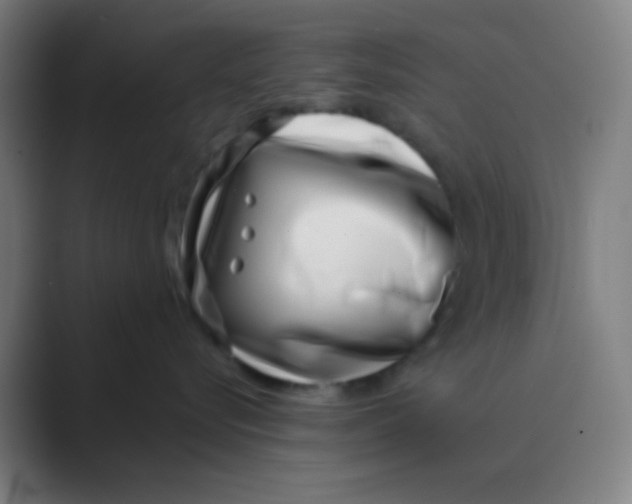 X0000088710576200706282046