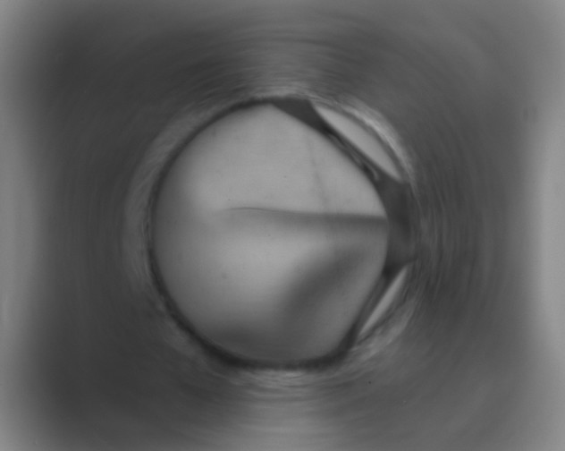 X0000088710577200706282045